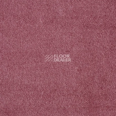 Ковролин AW Seduction 67 фото 1 | FLOORDEALER